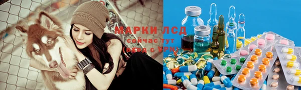 альфа пвп Алзамай