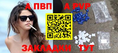 стаф Кунгур