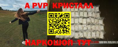 стаф Кунгур