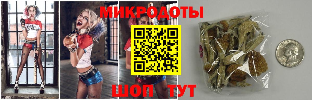 Карачаевск  где можно купить наркотик  Вход с VPN  Псилоцибиновые грибы мухоморы 